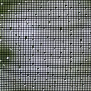 Instala mosquiteras en tu casa y olvídate de los insectos