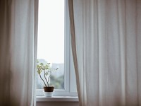 ¿Qué cortinas vestirán las ventanas en 2023?